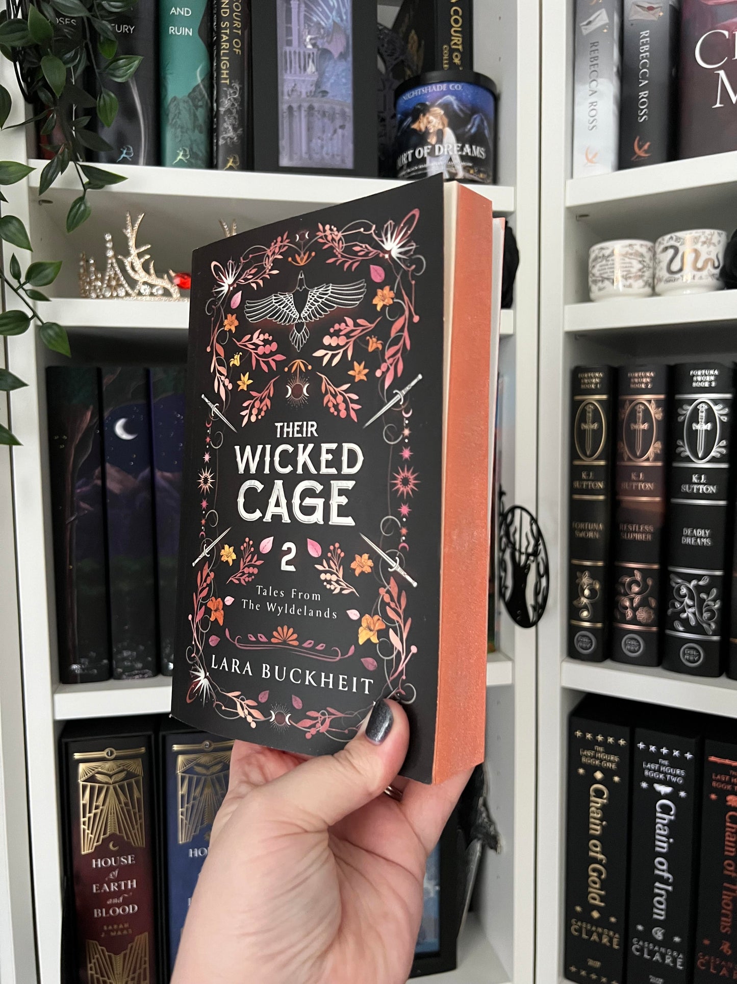 Their Wicked Cage (Sprayed Edge, Paperback)